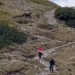 Stuhla im krv v žilách. Tatranský medveď si to švihol priamo pomedzi šokovaných turistov, komentár k videu baví internet