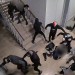 Fotbaloví fanoušci zaútočili v Praze na jiné. Přežili jen zázrakem, míní policie