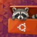 Kritika Canonicalu a Ubuntu 26.04 LTS versus realita doby
