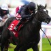 Puerto Rico fancied to outrun his odds in St James's Palace
