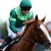 Controversial Derby non-runner Benvenuto Cellini could star at Royal Ascot