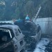 Úraduje v Petržalke podpaľač? Polícia vyšetruje sériu nočných požiarov