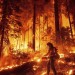 Man who caused Park fire, one of the largest in California history, convicted of arson