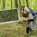 NOVINKA pre milovníkov húb: Vznikla interaktívna MAPA... Ukáže vám, kde rastú najlepšie kusy v reálnom čase!