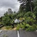 Východ čaká nápor búrok: Hrozia krúpy, prívalový dážď aj vietor s rýchlosťou 85 km/h