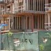 Abandoned West Hollywood construction site becomes 'coyote condo' with nighttime howls