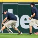 Orioles-Tigers game interrupted by speedy, elusive squirrel leading ground crew on epic chase