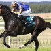 Scandinavia retains Goodwood Cup crown after eventful race