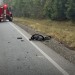 Veľký sen sa zmenil na tragédiu. Slovák Samuel chcel na bicykli prejsť naprieč Amerikou, zabilo ho auto