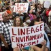 Lineage files permit to rebuild Boyle Heights warehouse. 'A slap in the face,' mayor says