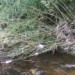 Povodně se kvůli zanesenému potoku obávají lidé v Krhové. ‚Řešení neodkládáme,‘ brání se Lesy ČR