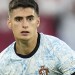 Bournemouth sign defender Silva from Benfica