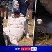 What are the chances?! Ko's ball gets lost in spectator's coat!