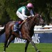 Today on Sky Sports Racing: Blue Bolt and Precise clash again in Prix Rothschild