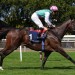 Blue Bolt confirms superiority over Precise at Deauville