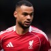 Spurs interested in Liverpool's Gakpo