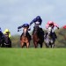 Silca Bay and Sea Suite face off as Brighton Festival begins
