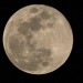 Discarded SpaceX rocket crashes into Moon