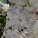 ‚Slepě spoléhali na aplikaci.‘ České turisty v Rakousku zachraňoval vrtulník na ferratě