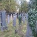 Kufr, který rodinu doprovodil do Terezína i domů. V Den židovských památek ho vystavují v Pardubicích