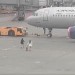 Šialené Rusky: VIDEO Zmeškali lietadlo z Moskvy! Utekali za ním po letisku