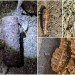REKORDNÝ počet nálezov munície: V Dunaji našli puškový americký GRANÁT! S týmto sa pyrotechnici ešte NESTRETLI