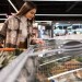 CHAOS v supermarketoch: Hackerský útok zničil tony potravín v stovkách predajní