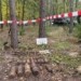 11 let práce, 70 tisíc kusů výbušniny. V Bořím lese na Břeclavsku skončilo odstraňování nevybuchlé munice