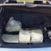 Muži převáželi v autě 34 kilogramů kratomu. Látku zabavili celníci