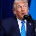 Trump parodoval v AI videu útok tygra na muže. Vyvolal vlnu pobouření