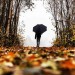 Babí léto se vrátí, tvrdí meteorologové. Ještě předtím ale přijde teplotní šok