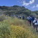 As Santa Ana winds bear down, officials shutter parks to avoid sparking a fire: Here's what's closed