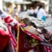 Policie vrací sokolům část milionů ukradených asistentkou. O kabelkách a špercích rozhodne soud