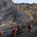 Just 8 years after Woolsey, a new fire ignites in its scar — too soon for both residents and plants